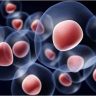Έγχυση Μεσεγχυματικών Βλαστοκυττάρων στην Σπονδυλική Στήλη