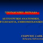 Λειτουργική ανατομική φυσιολογία εμβιομηχανική