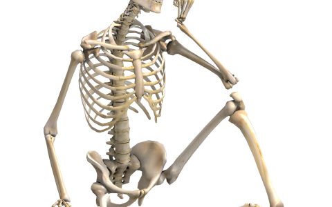 7 Fascinating Facts About Your Bones