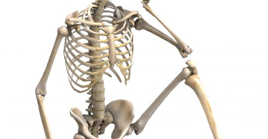 7 Fascinating Facts About Your Bones - Professor G. Sapkas