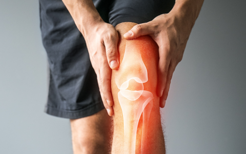 Stem Cell Transplants Can Heal Damaged Knees