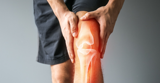 Stem Cell Transplants Can Heal Damaged Knees