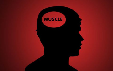 Muscle Memory