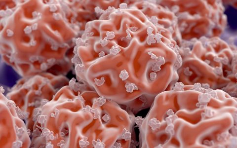 Stem Cell Treatment