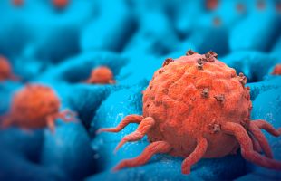 Cancer Cells Engineered to Fight Their Own Kind