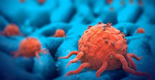 Cancer Cells Engineered to Fight Their Own Kind